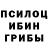 Галлюциногенные грибы мухоморы Dali Dzamashvili