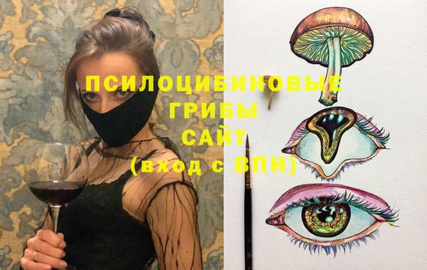 стаф Алзамай