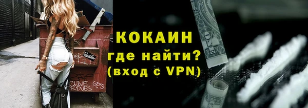 метадон Алексин