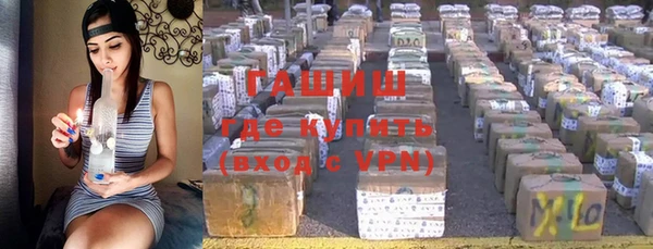 стаф Алзамай